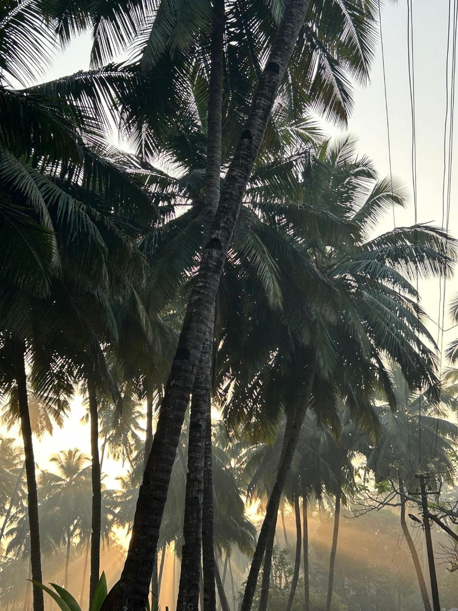 The Bungalow Bogmalo An 1880 Indo Portuguese Heritage Beach Villa South Goa Luaran gambar