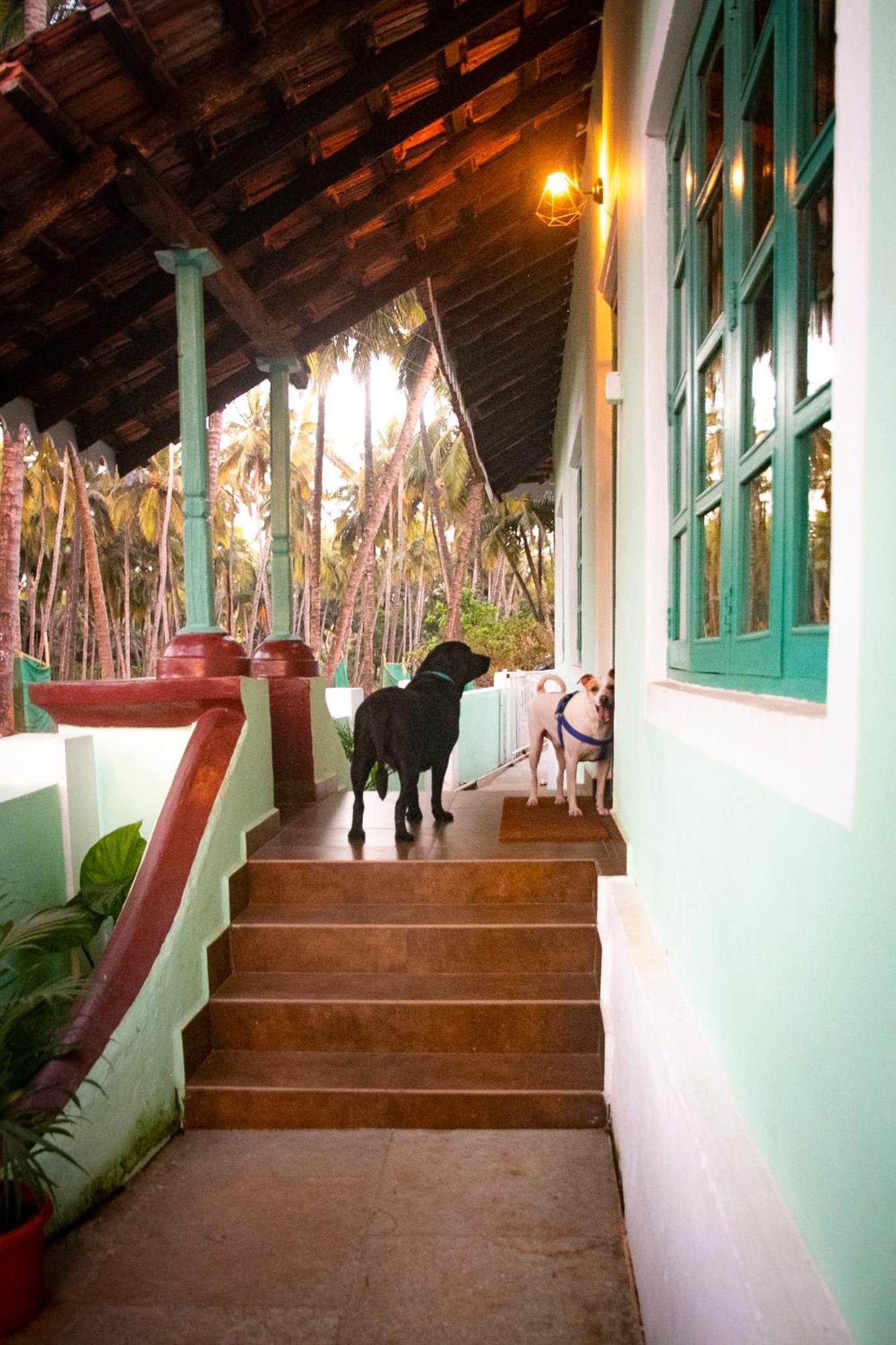 The Bungalow Bogmalo An 1880 Indo Portuguese Heritage Beach Villa South Goa Luaran gambar